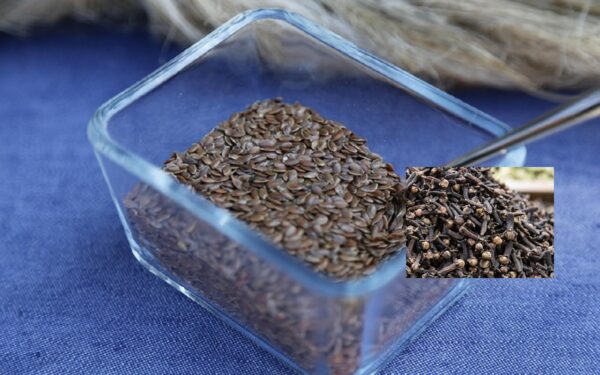 “Clavo de olor y linaza: la combinación natural que desintoxica el colon y elimina parásitos del cuerpo”